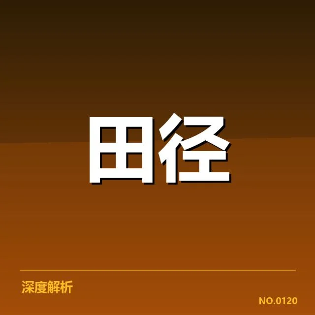 已核实的选手名单与赛程安排